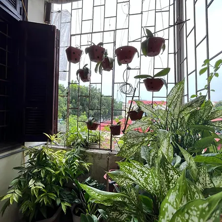 Tropical Land Little Hanoi Homestay-2